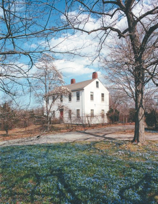 Color photograph of house with blue bulbs blooming in foreground