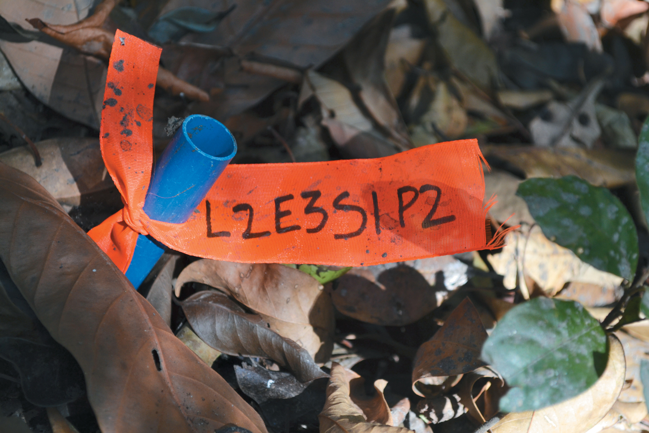 A color photo of a plant tag.