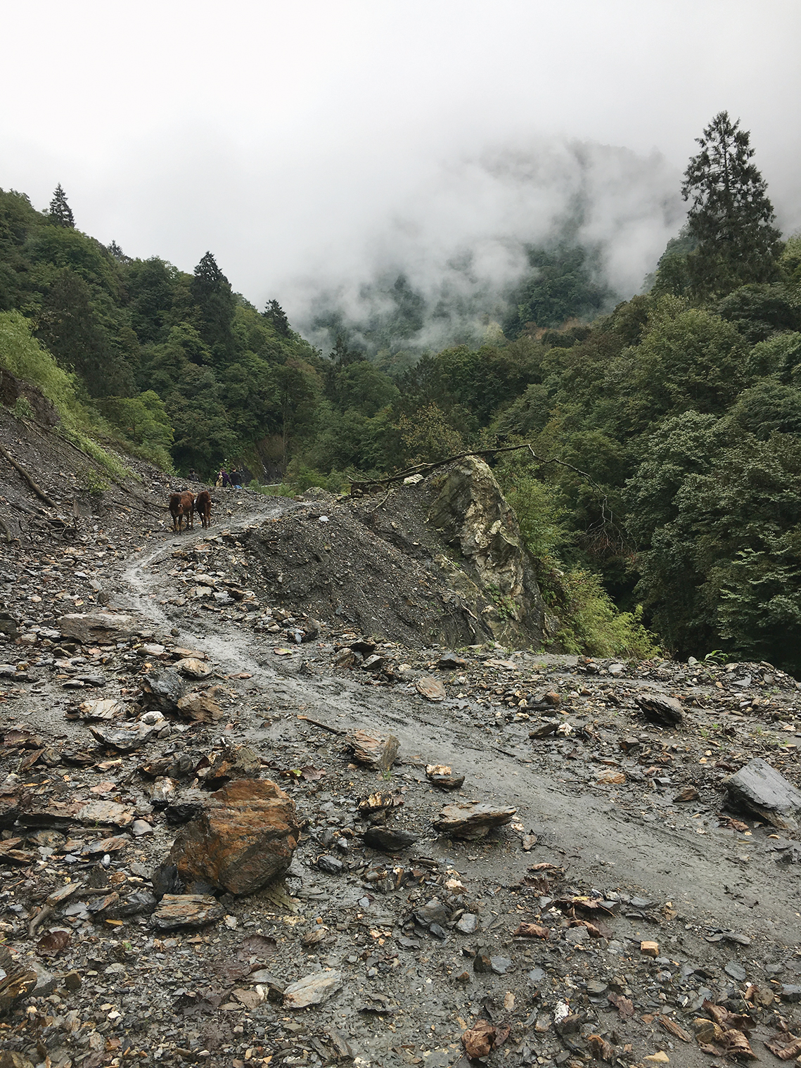 A color photo of a collapsed road in a rural area.