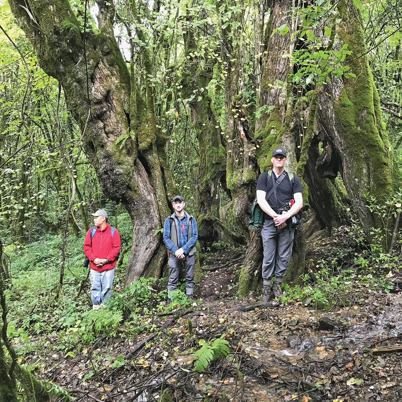 A color photo of three people standing by a large tree.