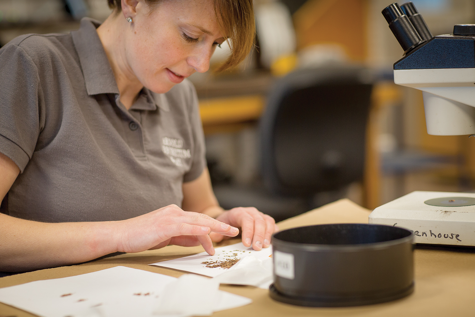 A color photo of a person working at a desk.