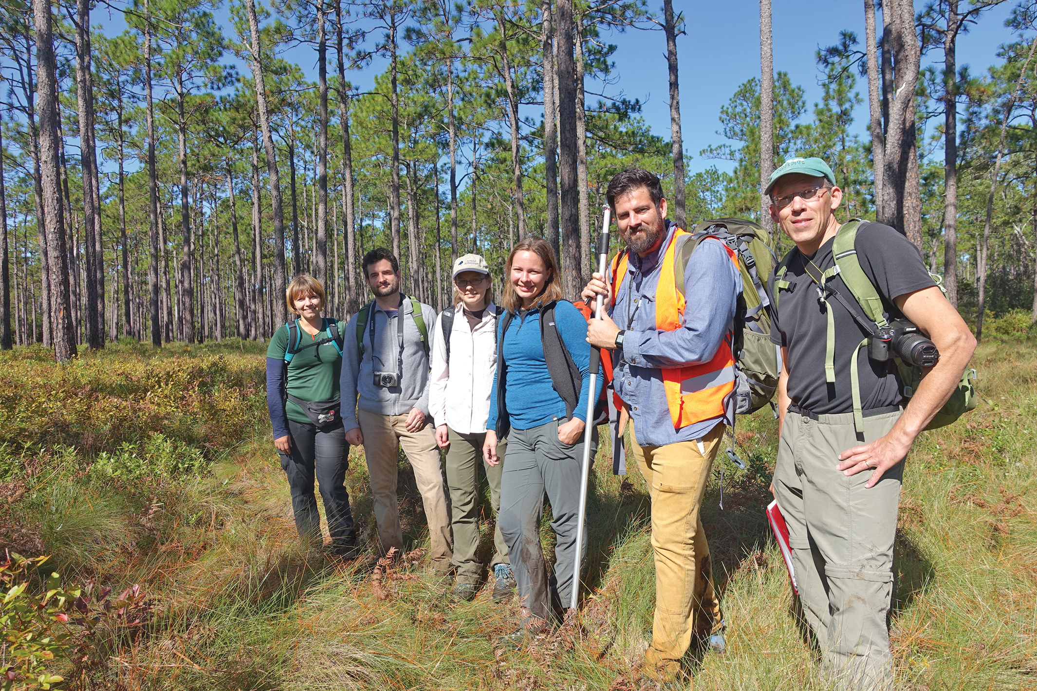A color photo of several people standing in a pine savannah.