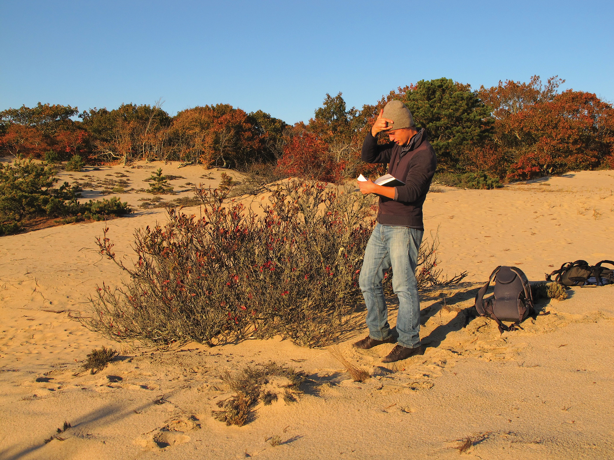 A color photo of the author standing by a beach plum.
