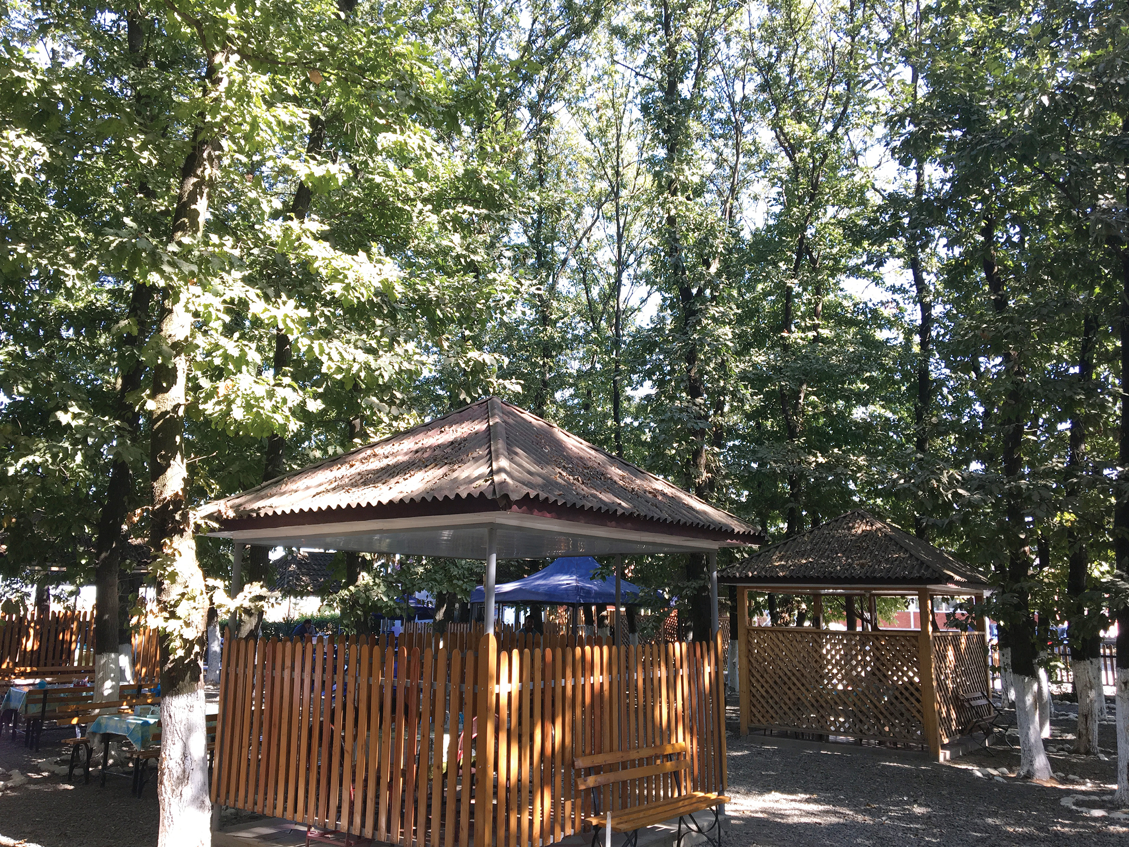 A color photo of a restaurant in a grove of chestnut-leaf oaks.