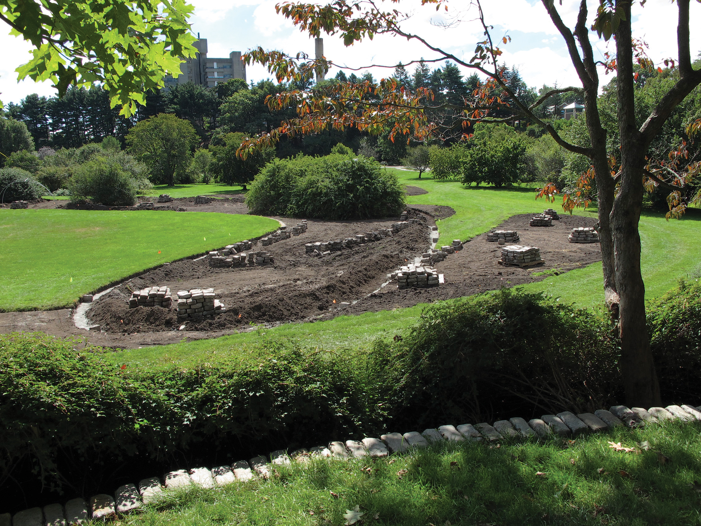 A color photo of half-constructed cobblestone bed-borders in a rose garden.