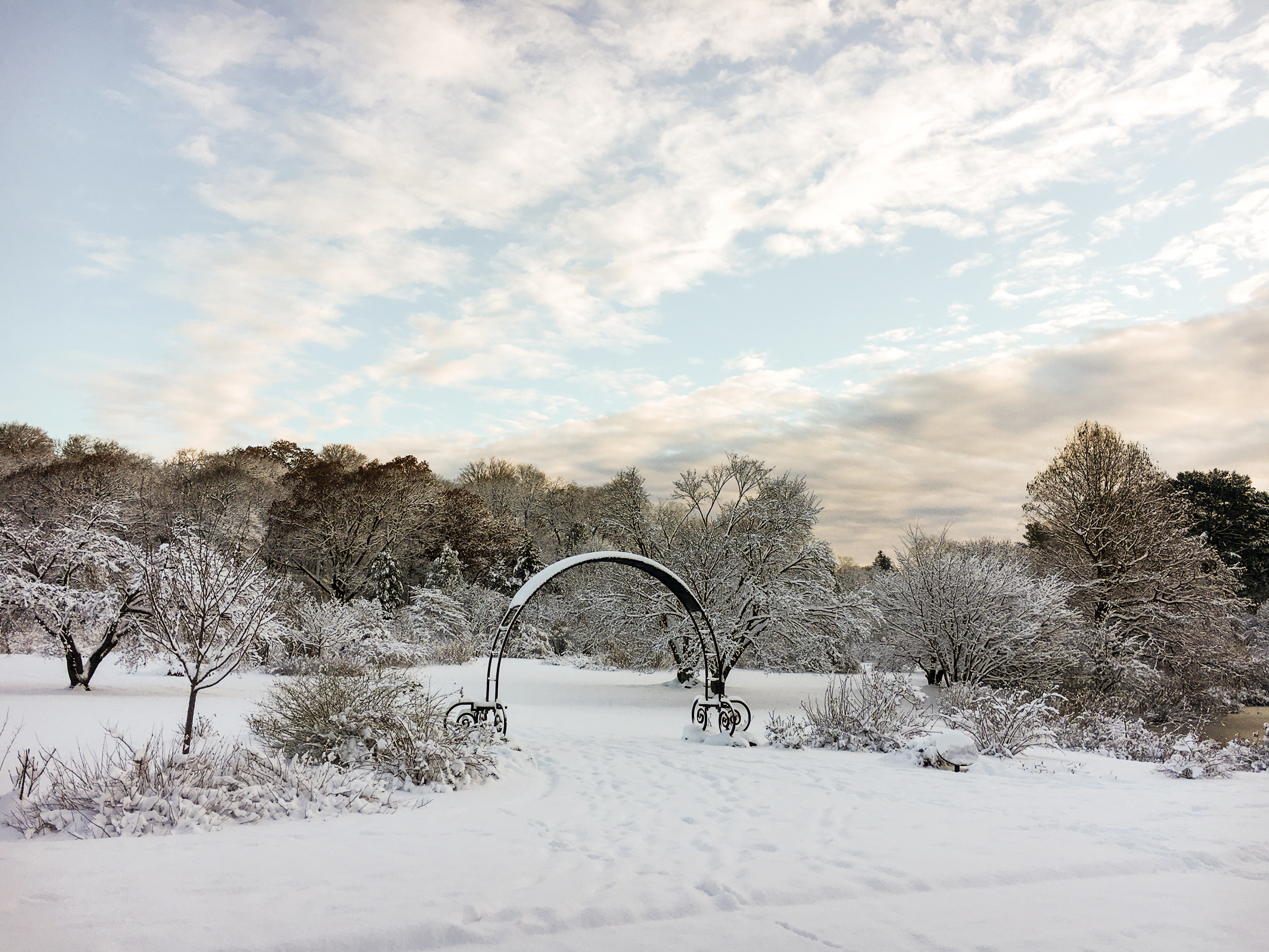 A color photo of a BRC entrance arbor.