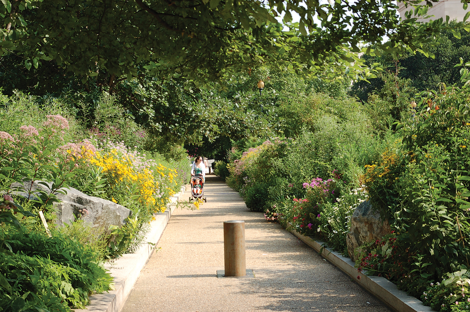 The pollinator garden, with foliage.