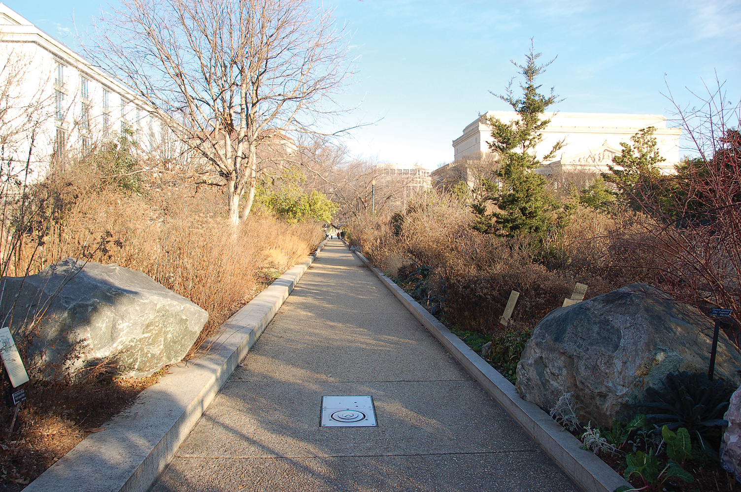 The pollinator garden, without foliage.