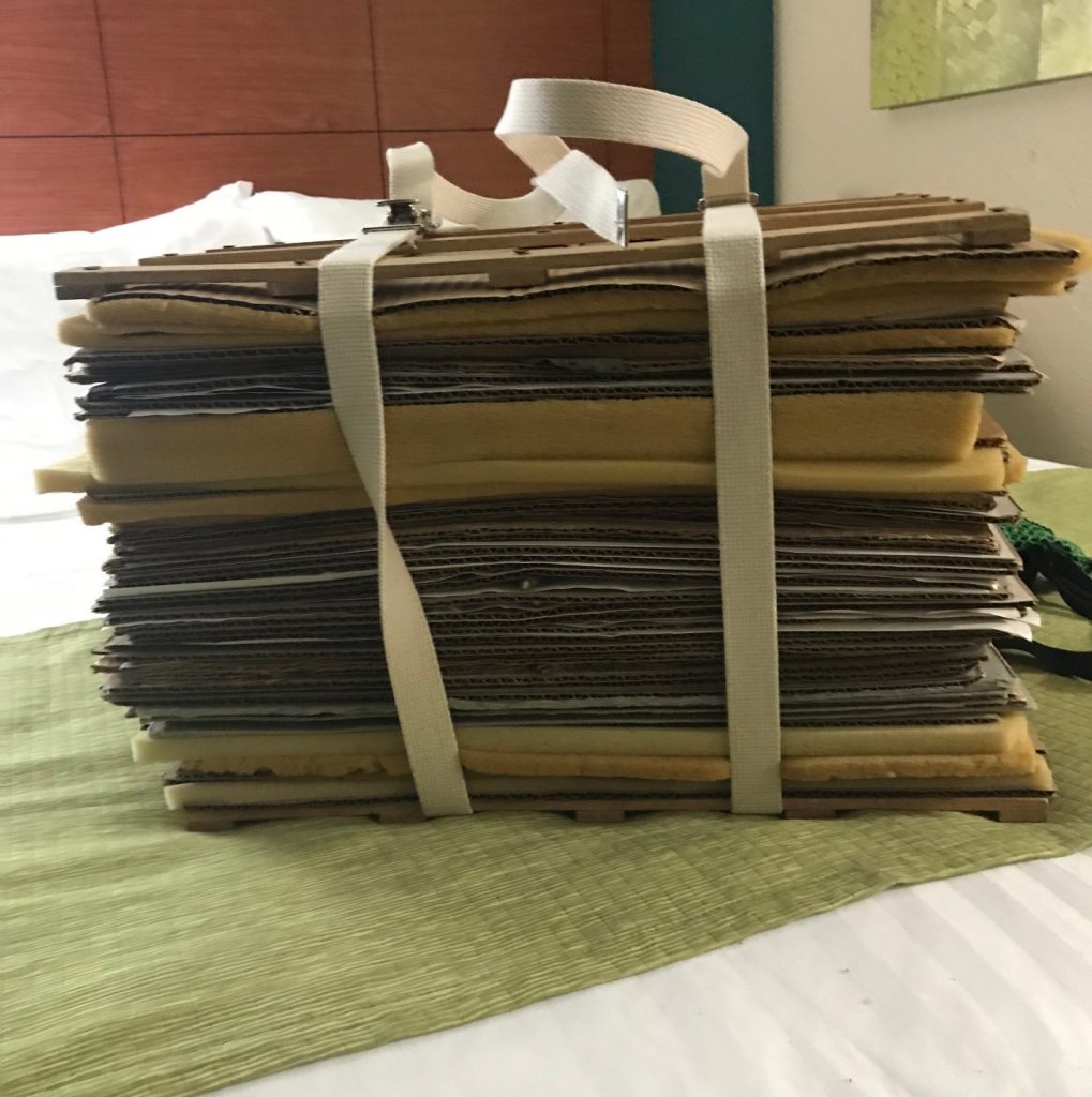 Herbarium press after the first day of collecting