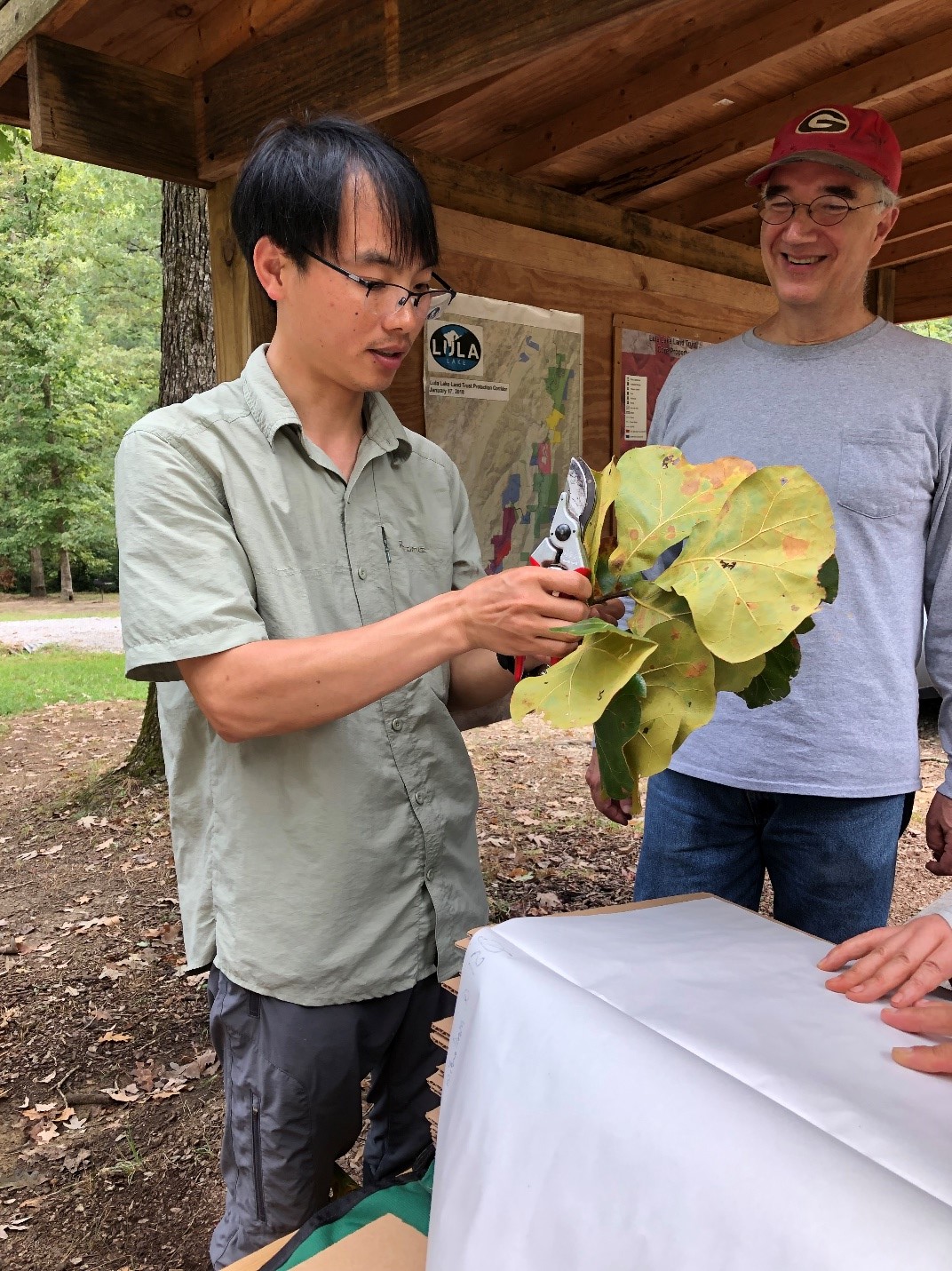 Tao Deng prepares herbarium sample