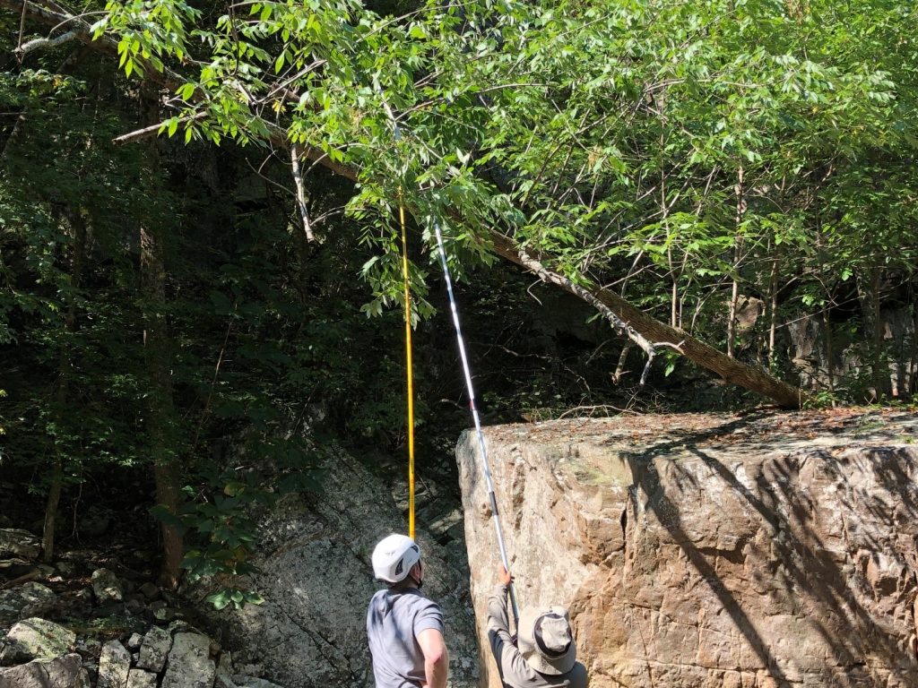 Andrew and Kang collect ash with pole pruners