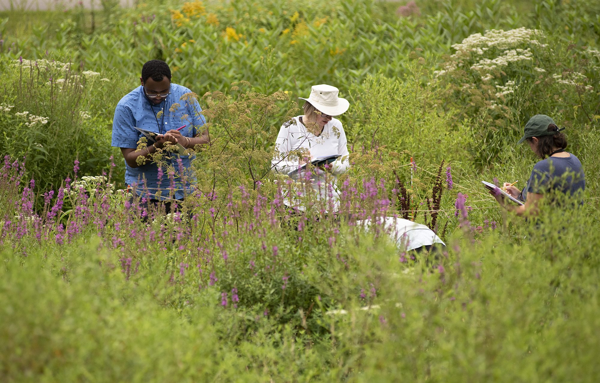 Gathering data on Kent Field