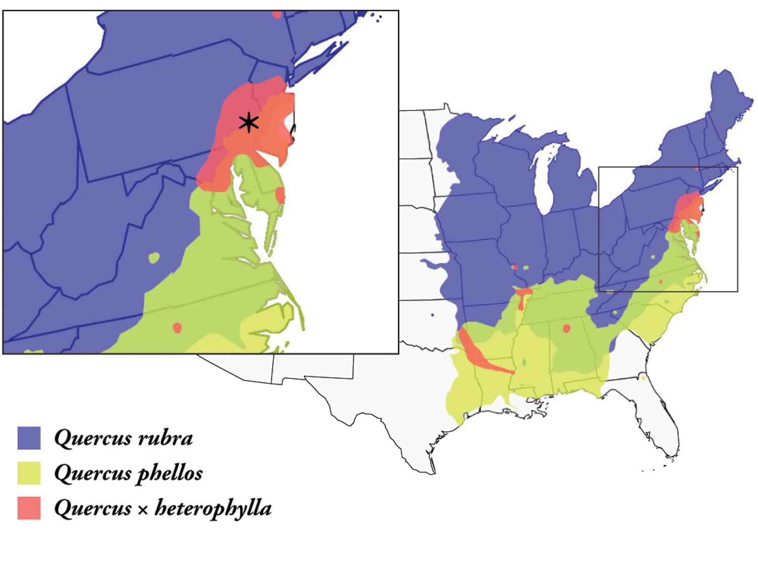 Map showing distribution of willow oak, northern red oak, and Bartram oak.