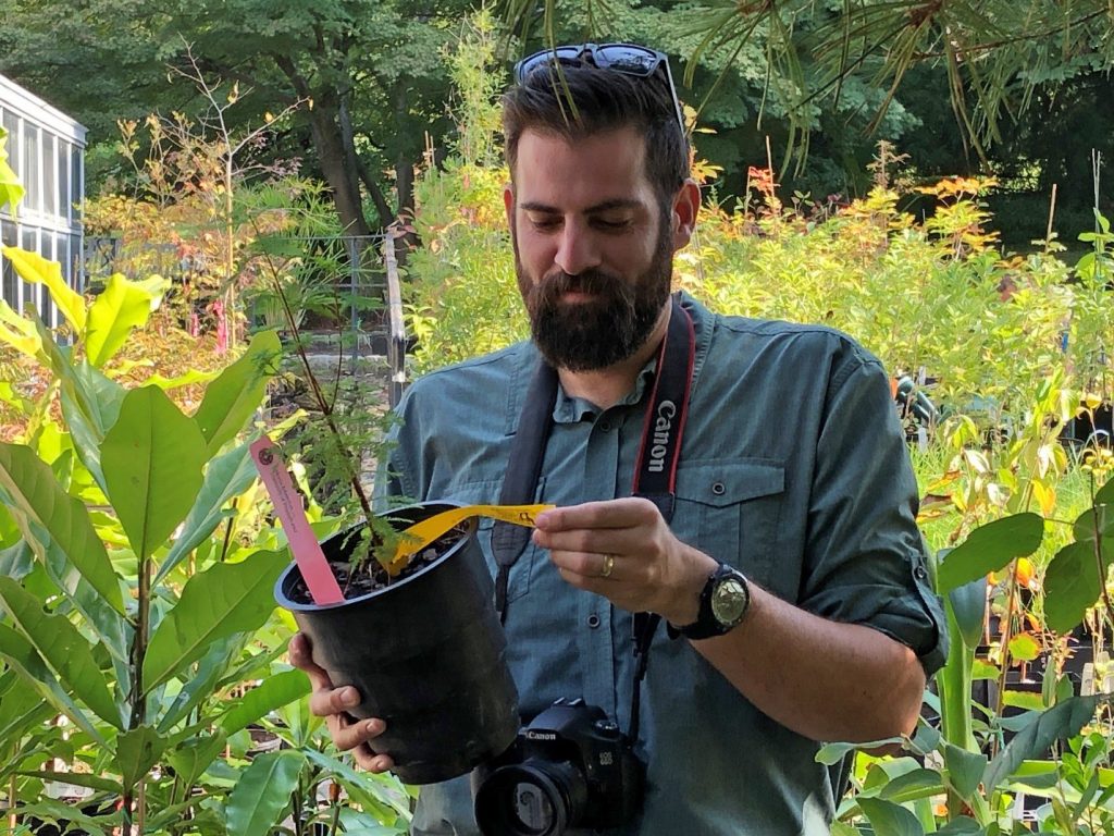 Sean and bald cypress he collected