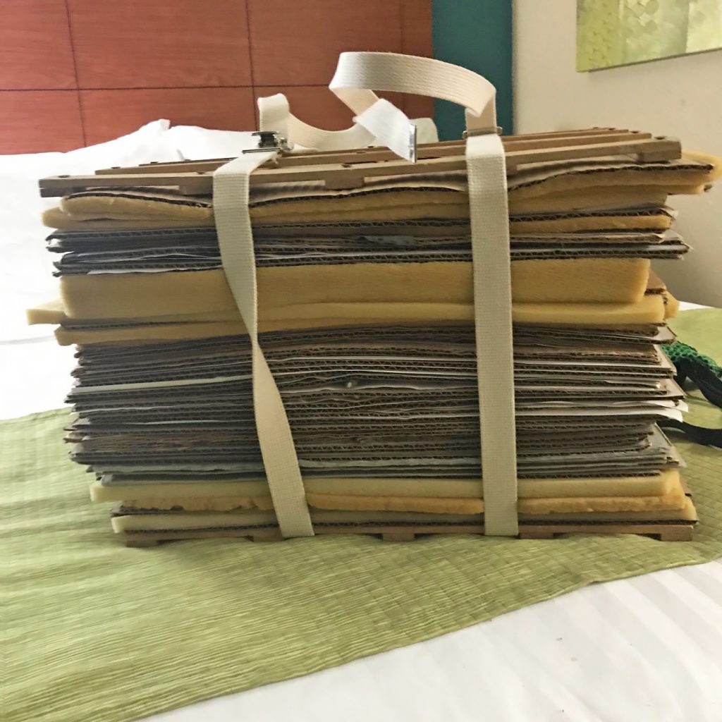 Herbarium vouchers after the first few days of collection