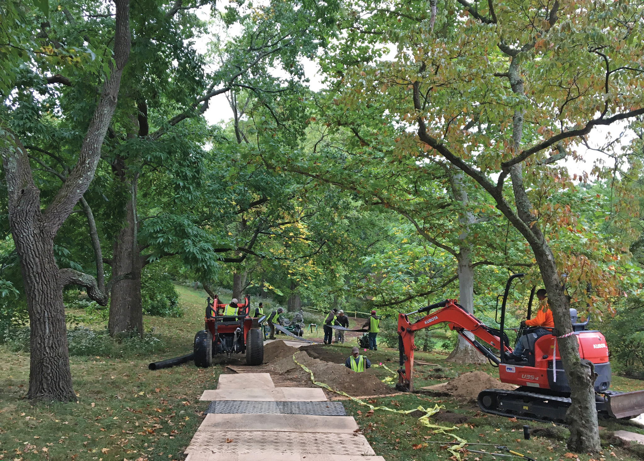 Construction of irrigation lines in the oak collection