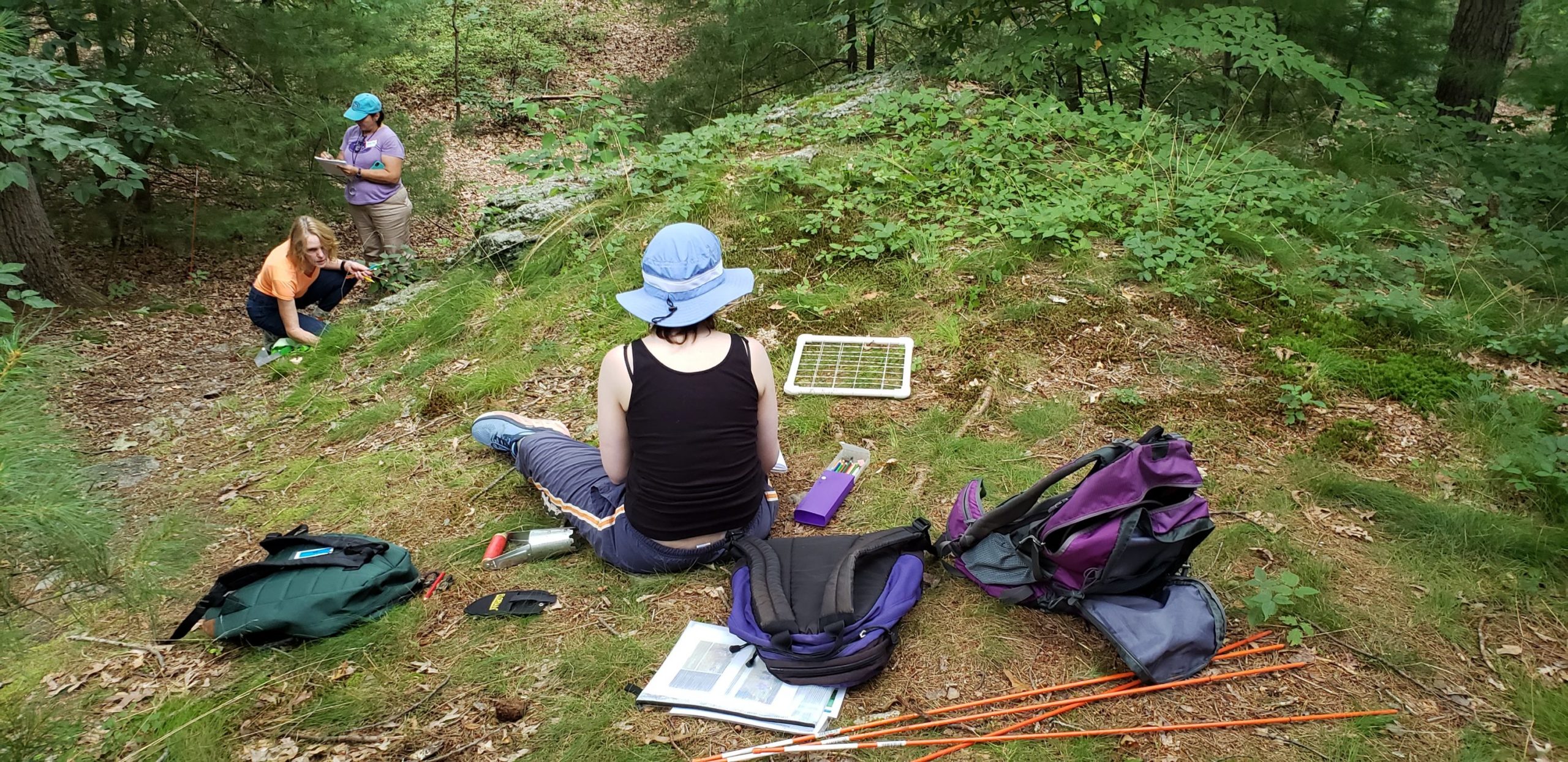 Fieldwork Tools