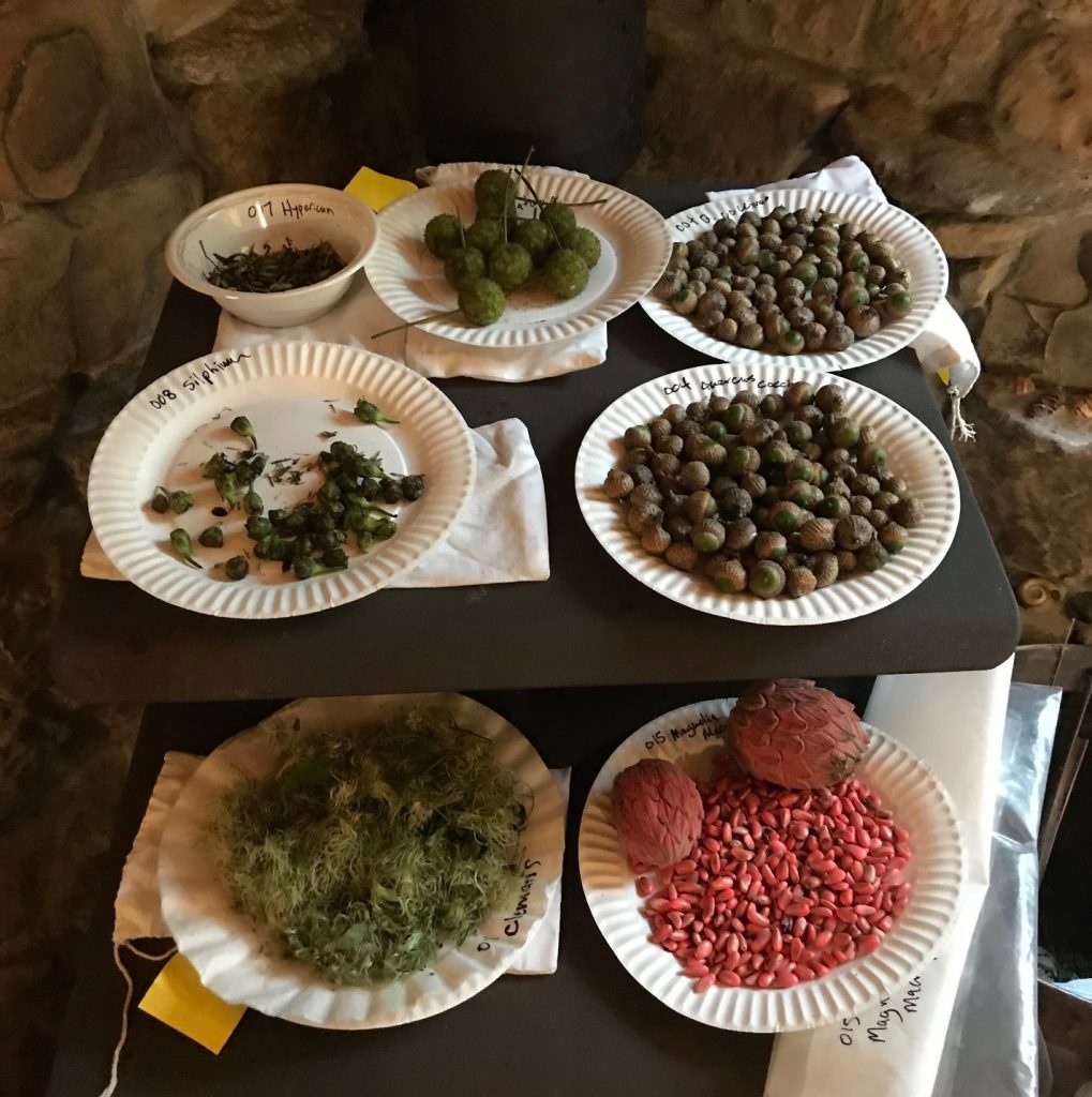 The ‘fruits’ of our labor