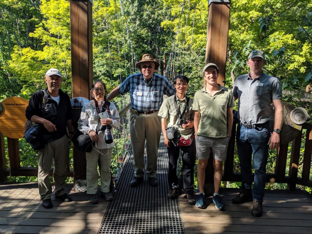 NACPEC canopy walk at Holden Arboretum by Sean Halloran