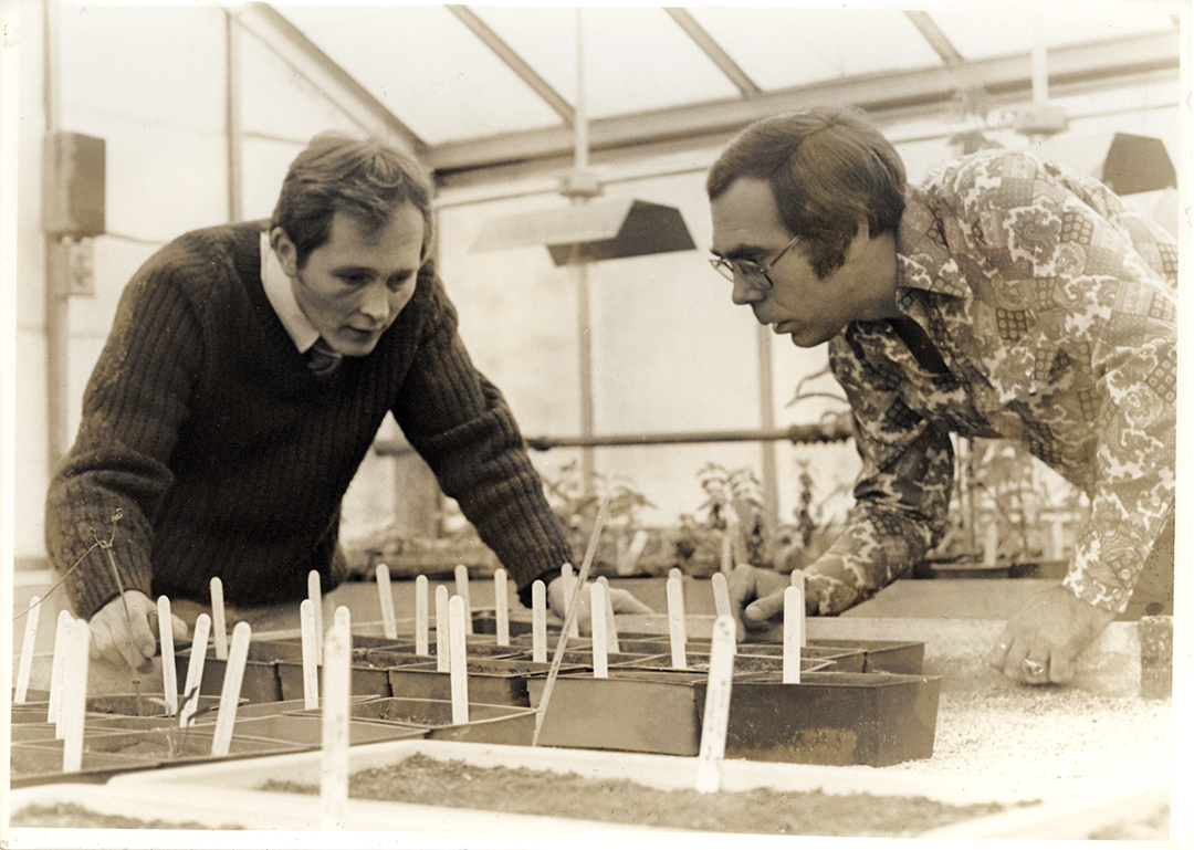 Spongberg Weaver November 1977
