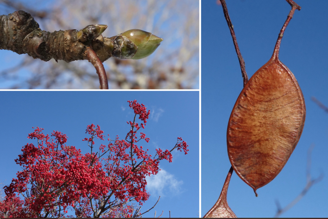 first day of winter 2019