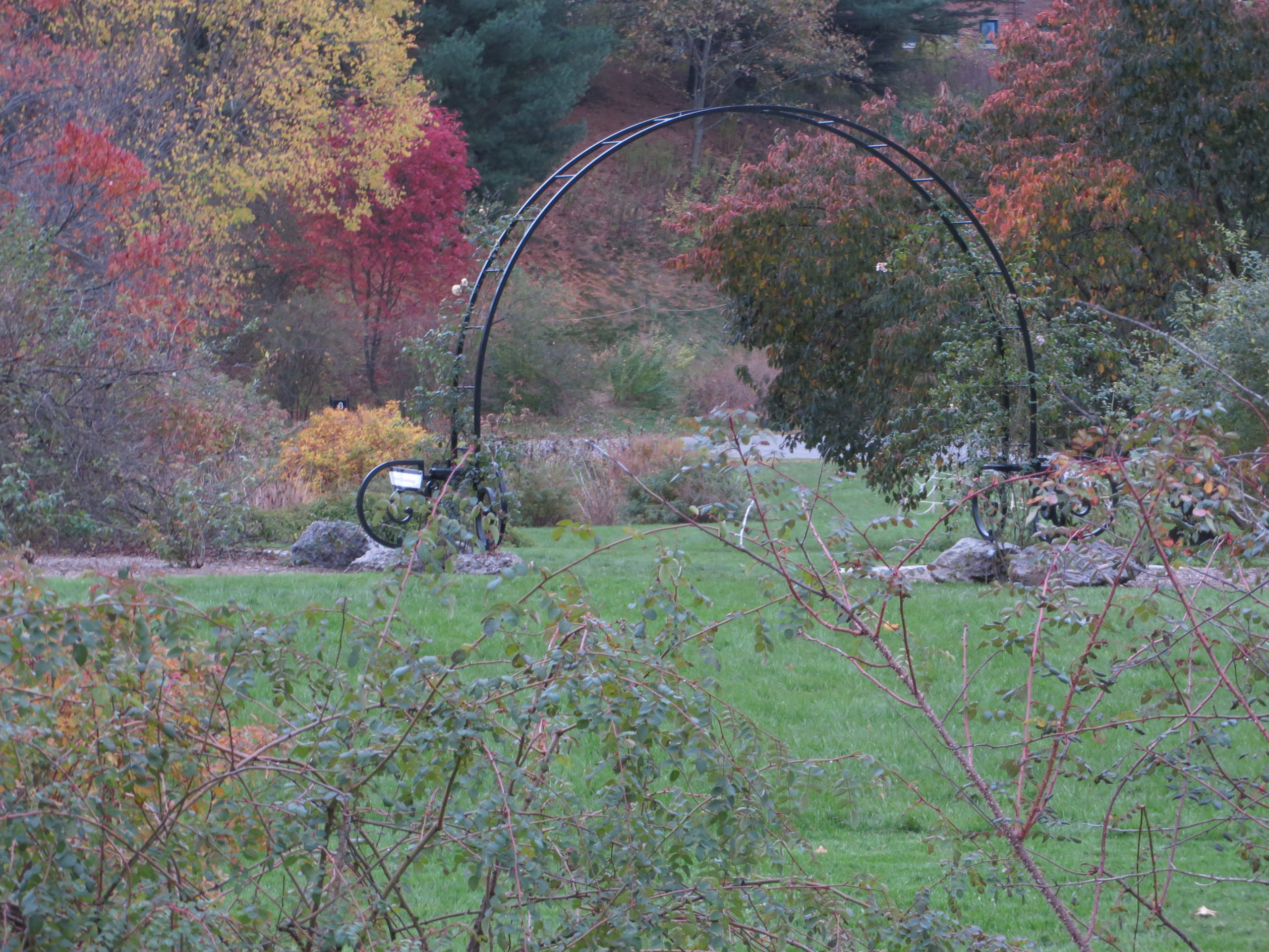 Bradley Rosaceous Collection arbor in autumn.