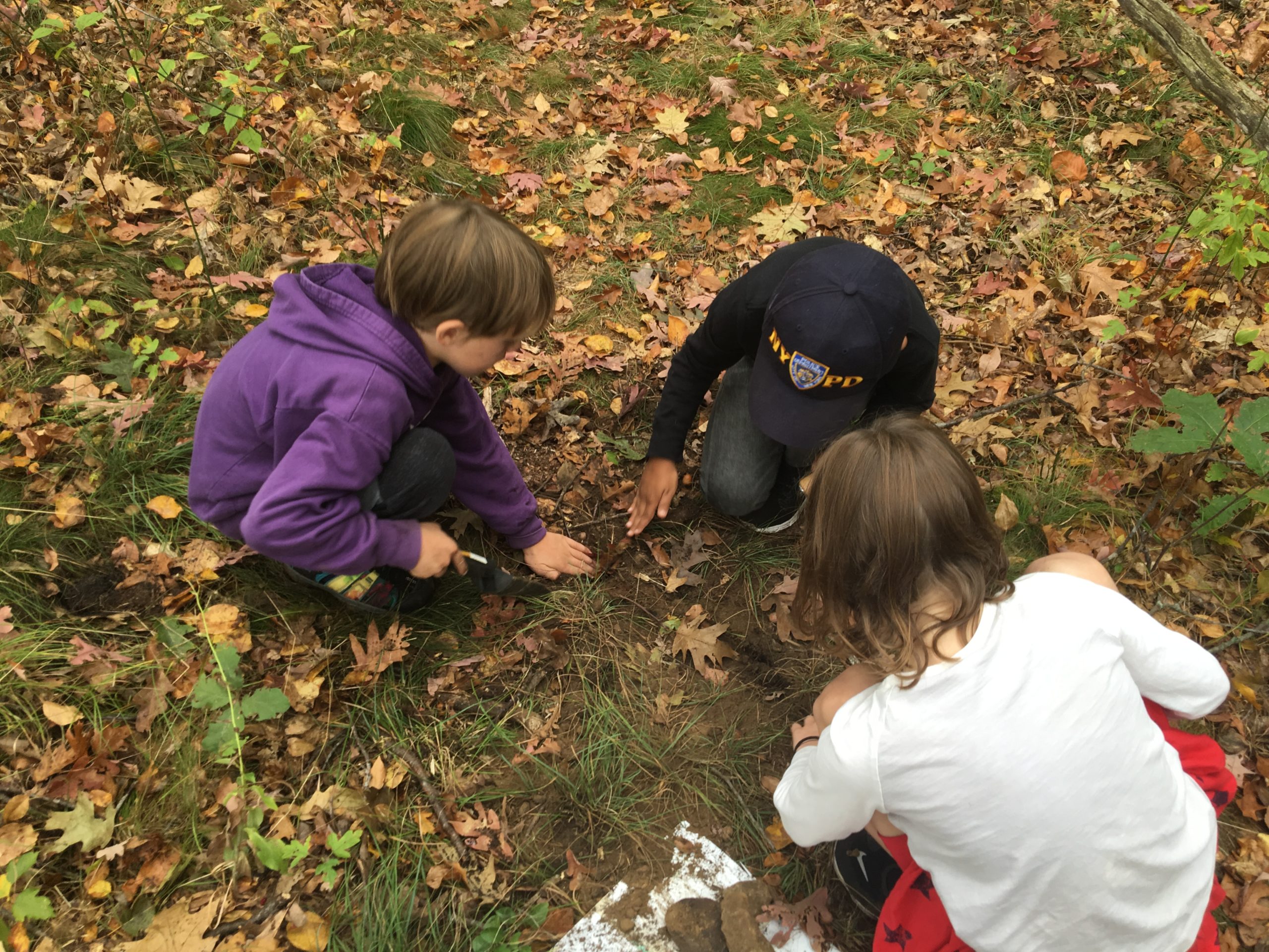 First and Second graders learn about soil texture and composition