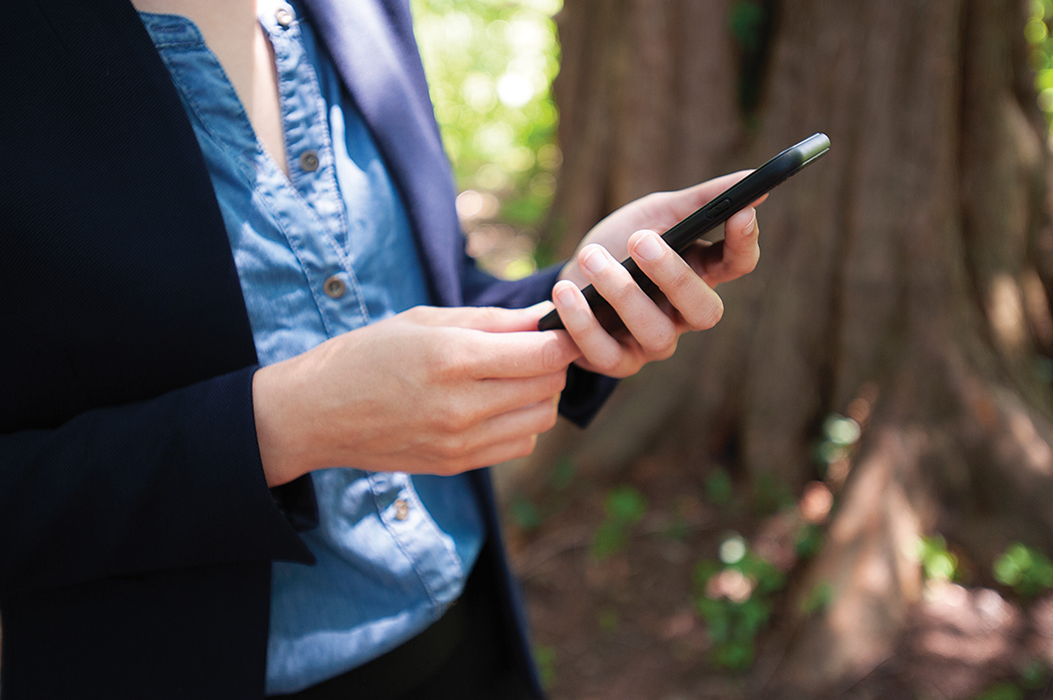 Expeditions the app of the Arnold Arboretum