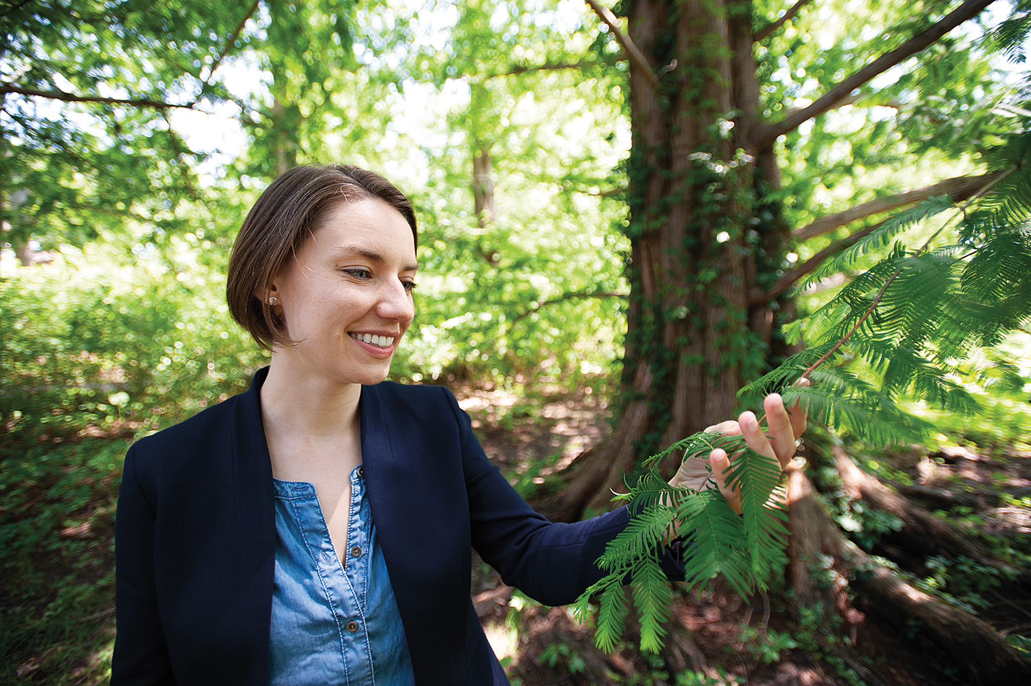 Amy Heuer and Metasequoia