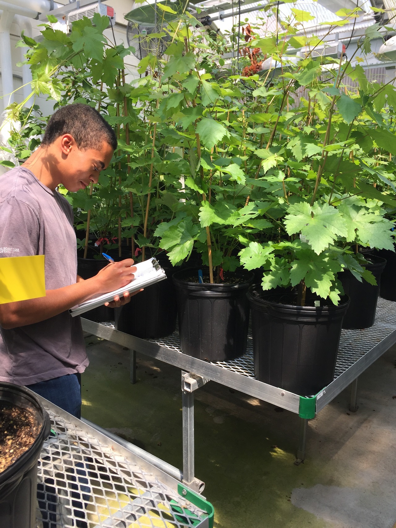 2017 Intern Asa Peters collects data