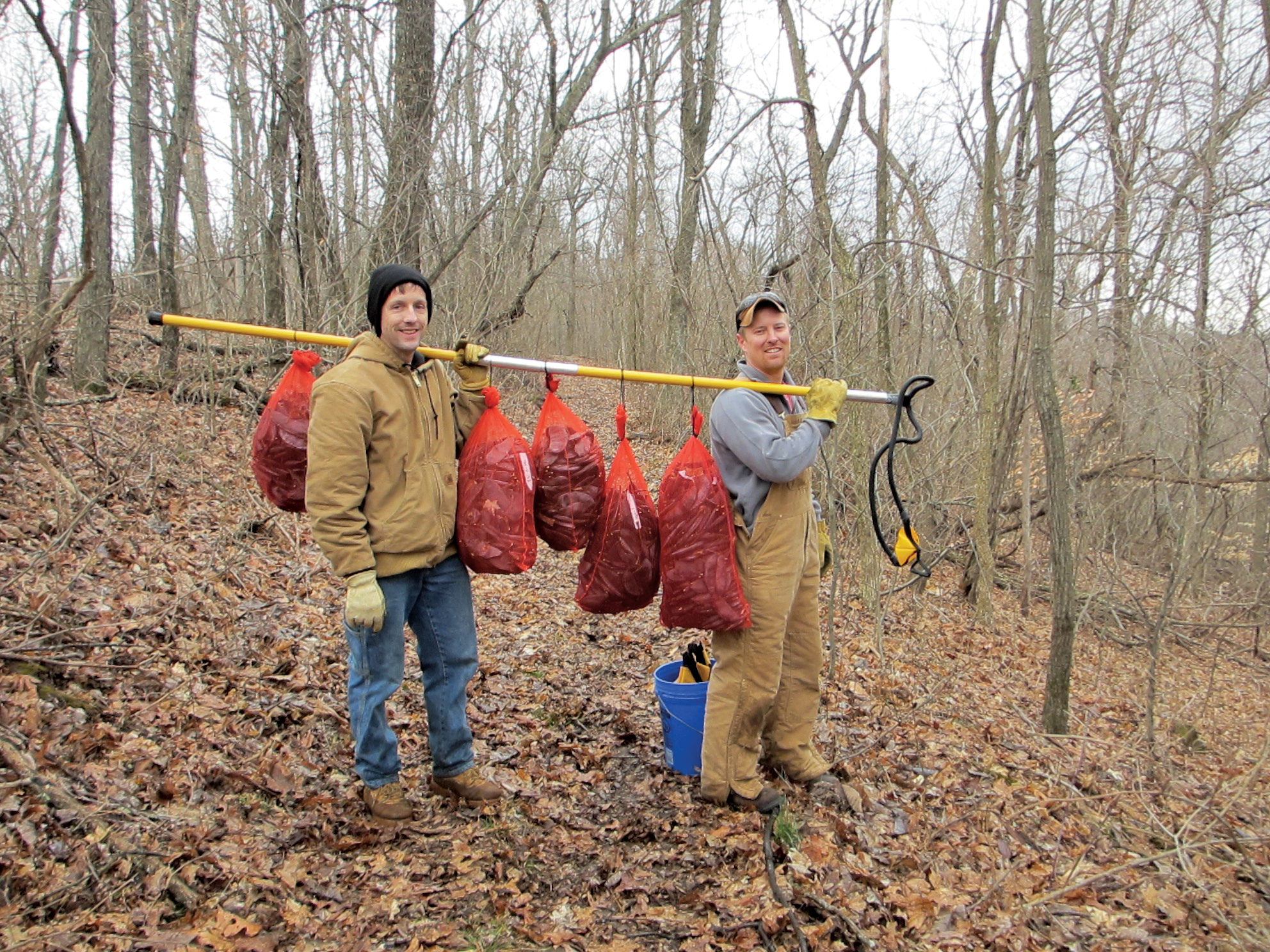 Photo of authors carrying load of seeds