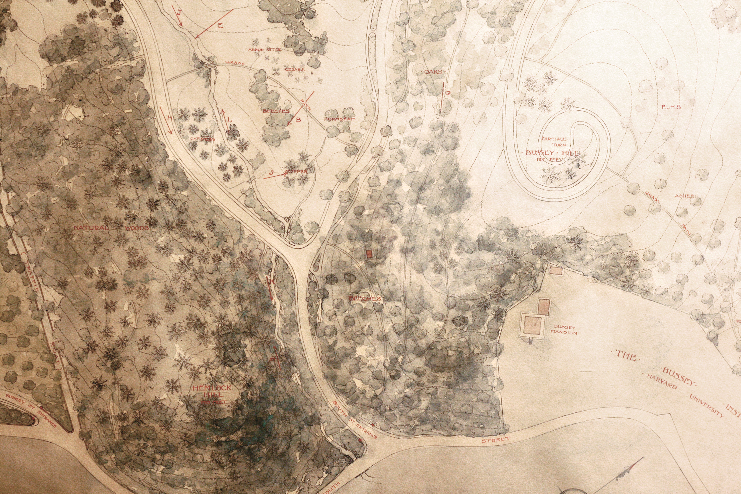 Inset of map rendered in sepia tone