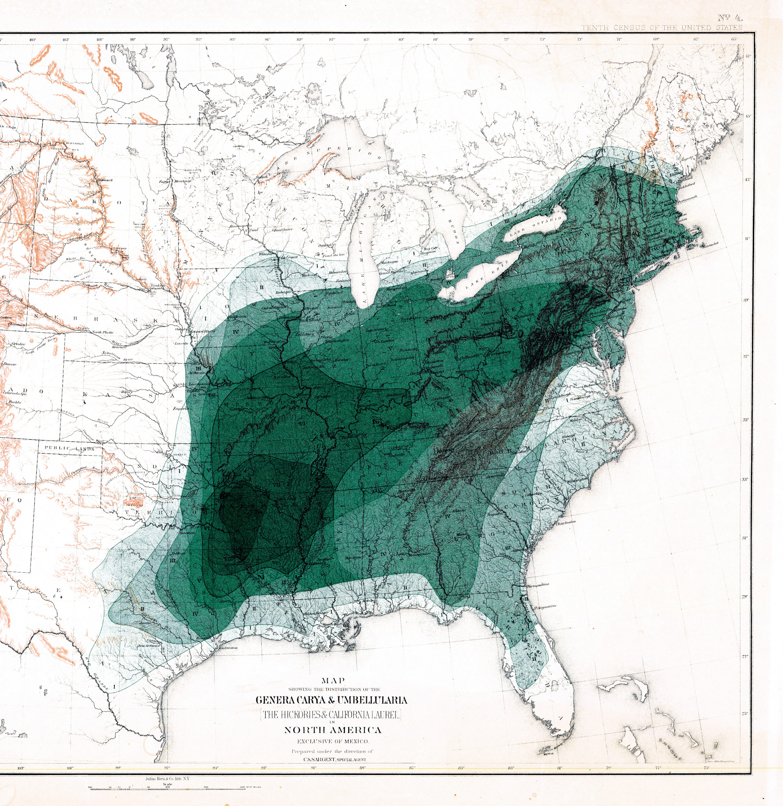Map from census showing density of hickory species in the eastern UnitedStates