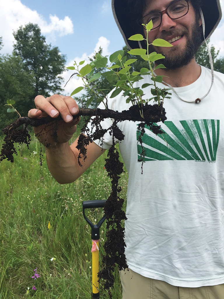 Man holding rhizome with green shoots