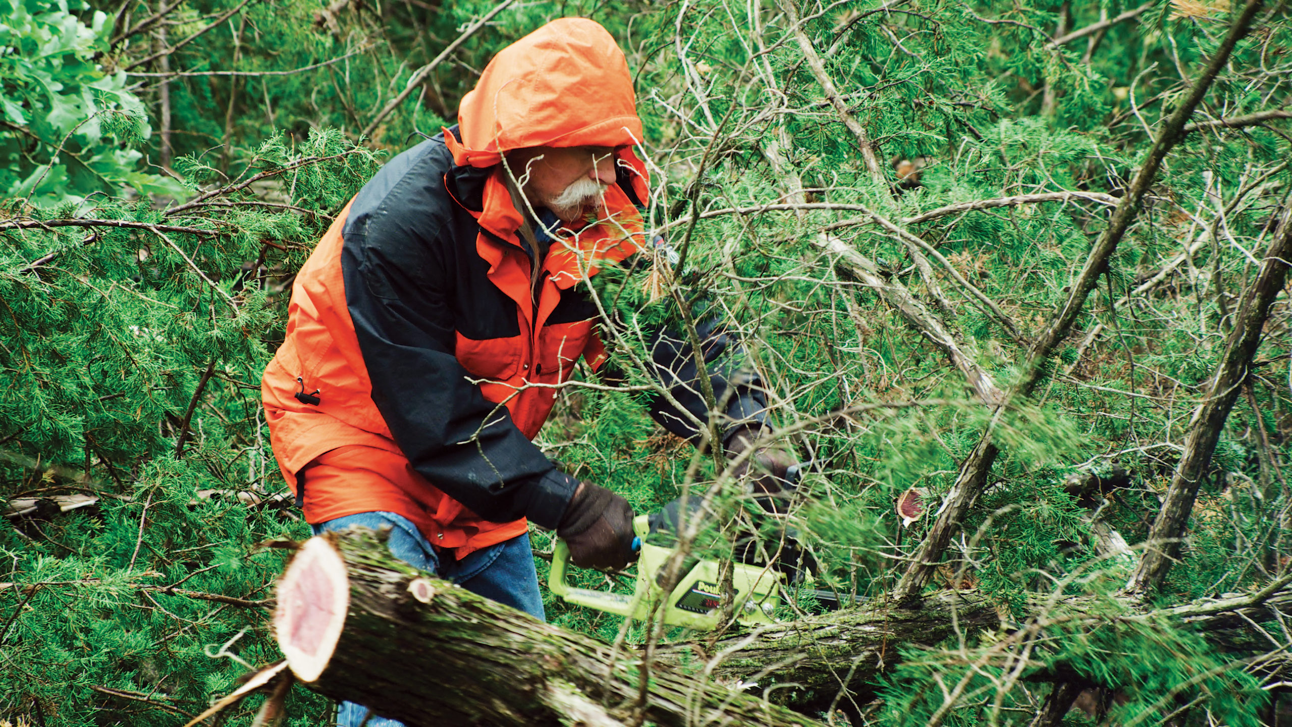 Man in orange coat cuts with chainsaw