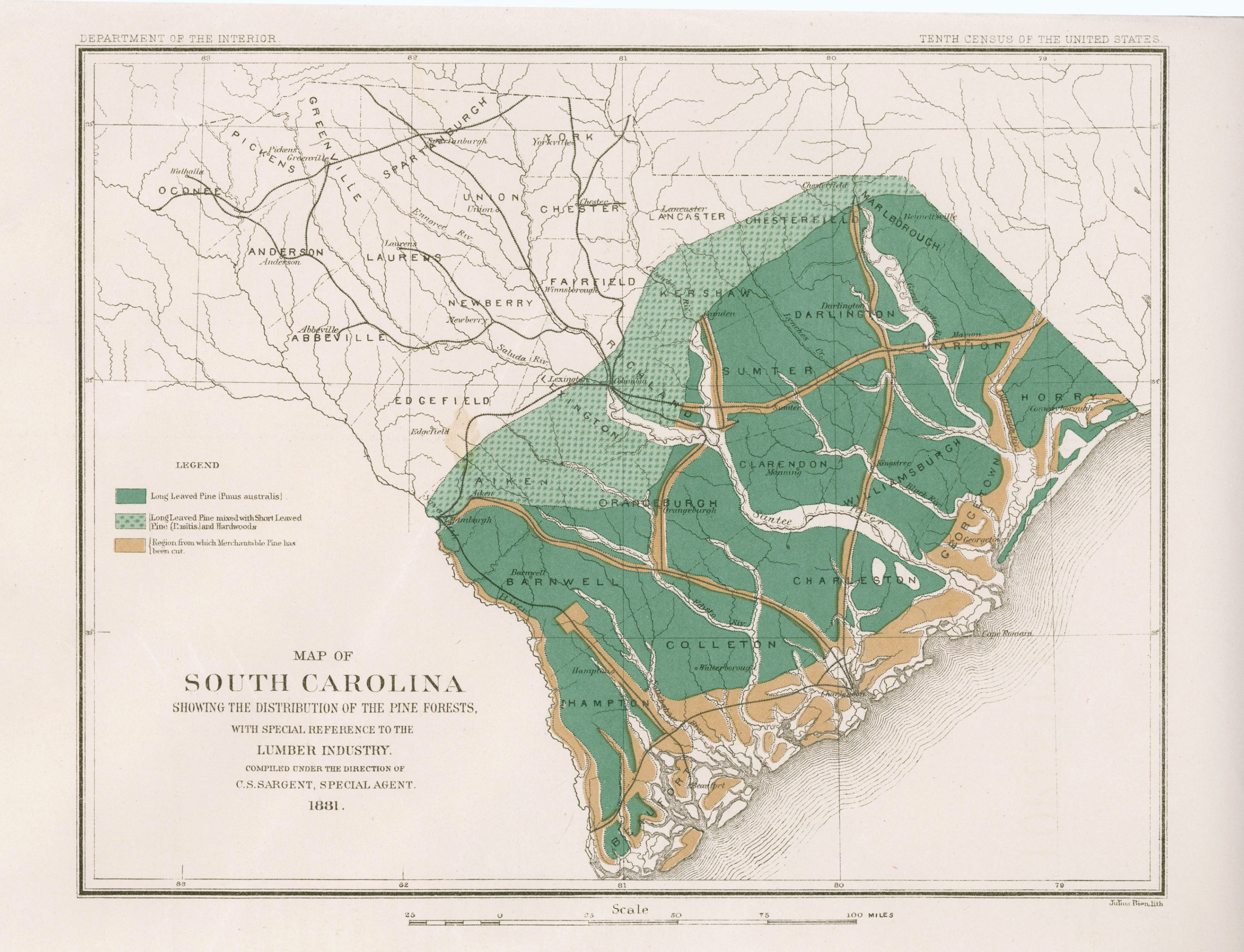 Map showing distribution of pine species in South Carolina
