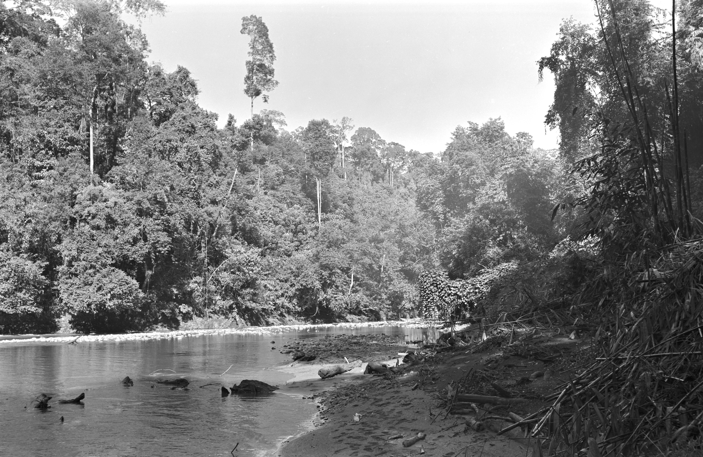 Black-and-white photo of placid river