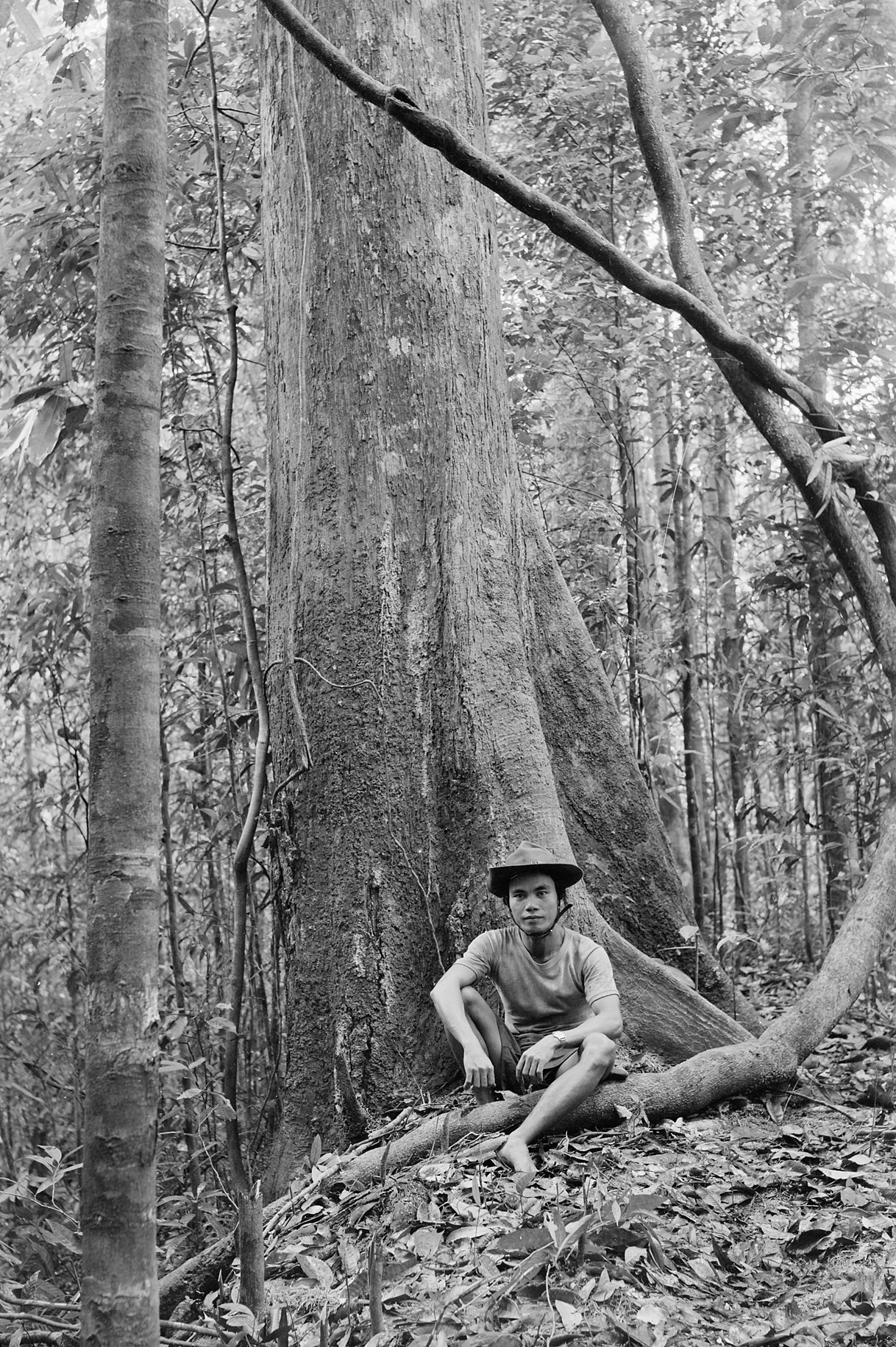 Black-and-white photograph of man sitting near tree trunk