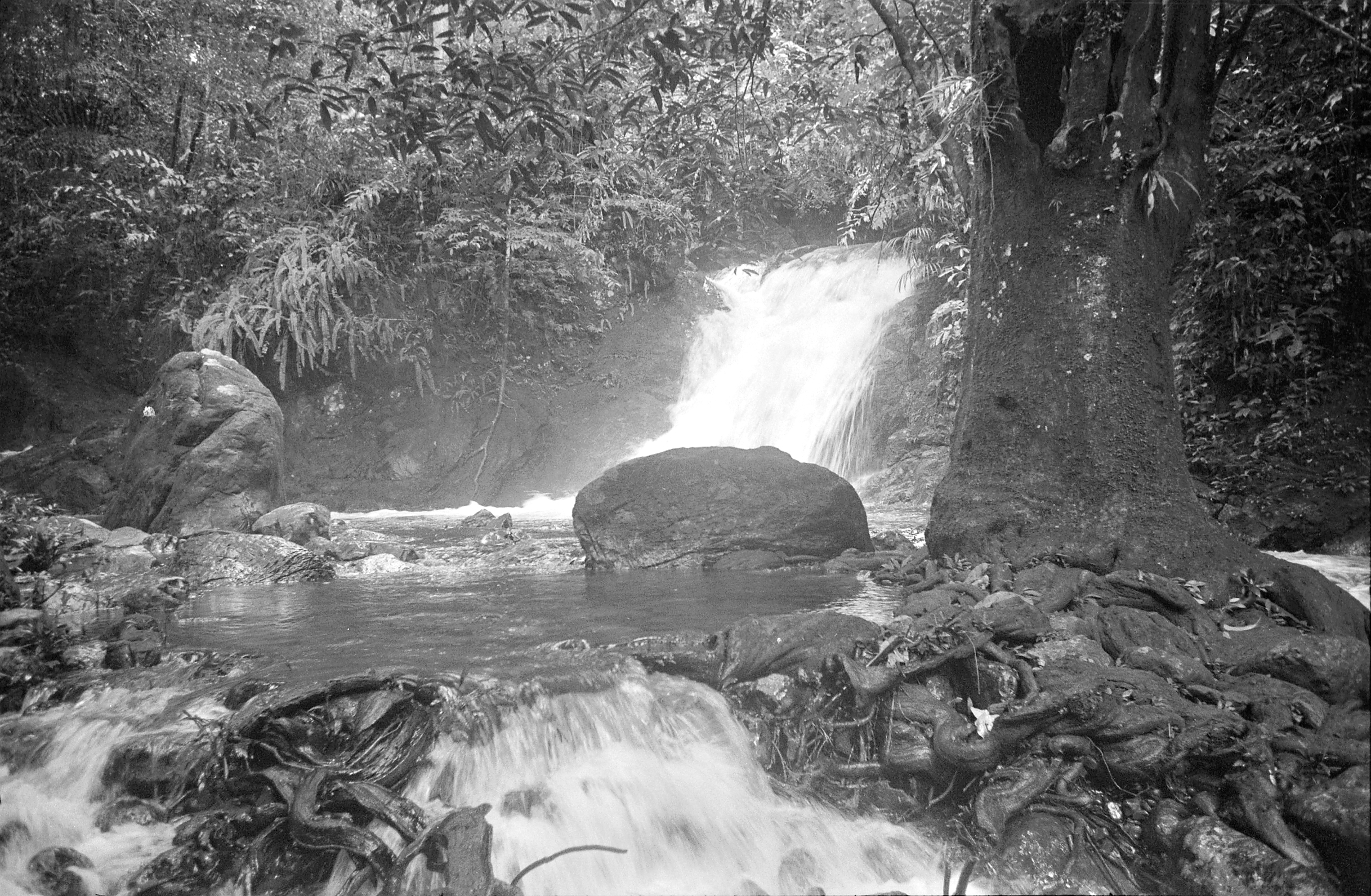 Black-and-white photograph of waterfall