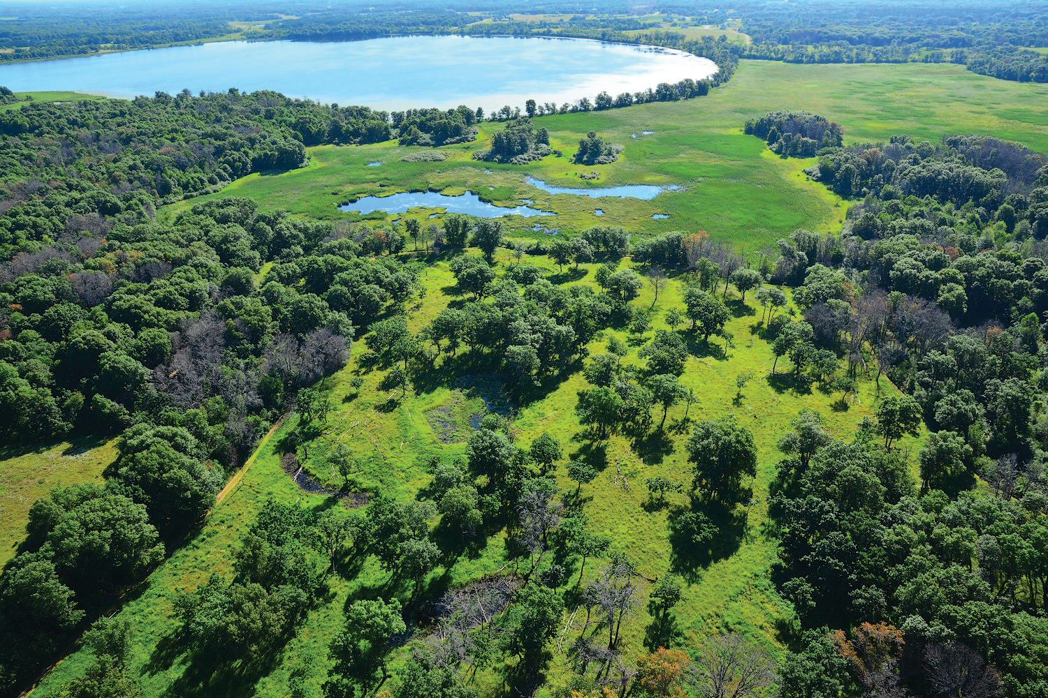 Aerial photograph of lush green landscape