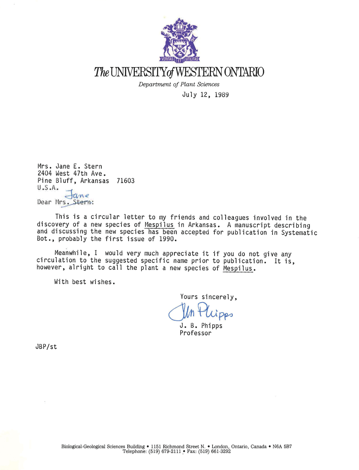 Letters about Stern's medlar