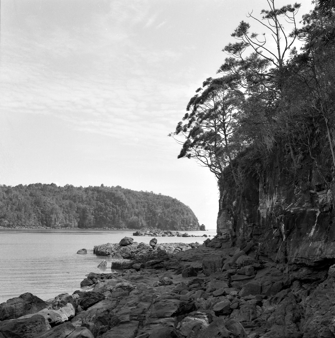 Black-and-white photograph of coast