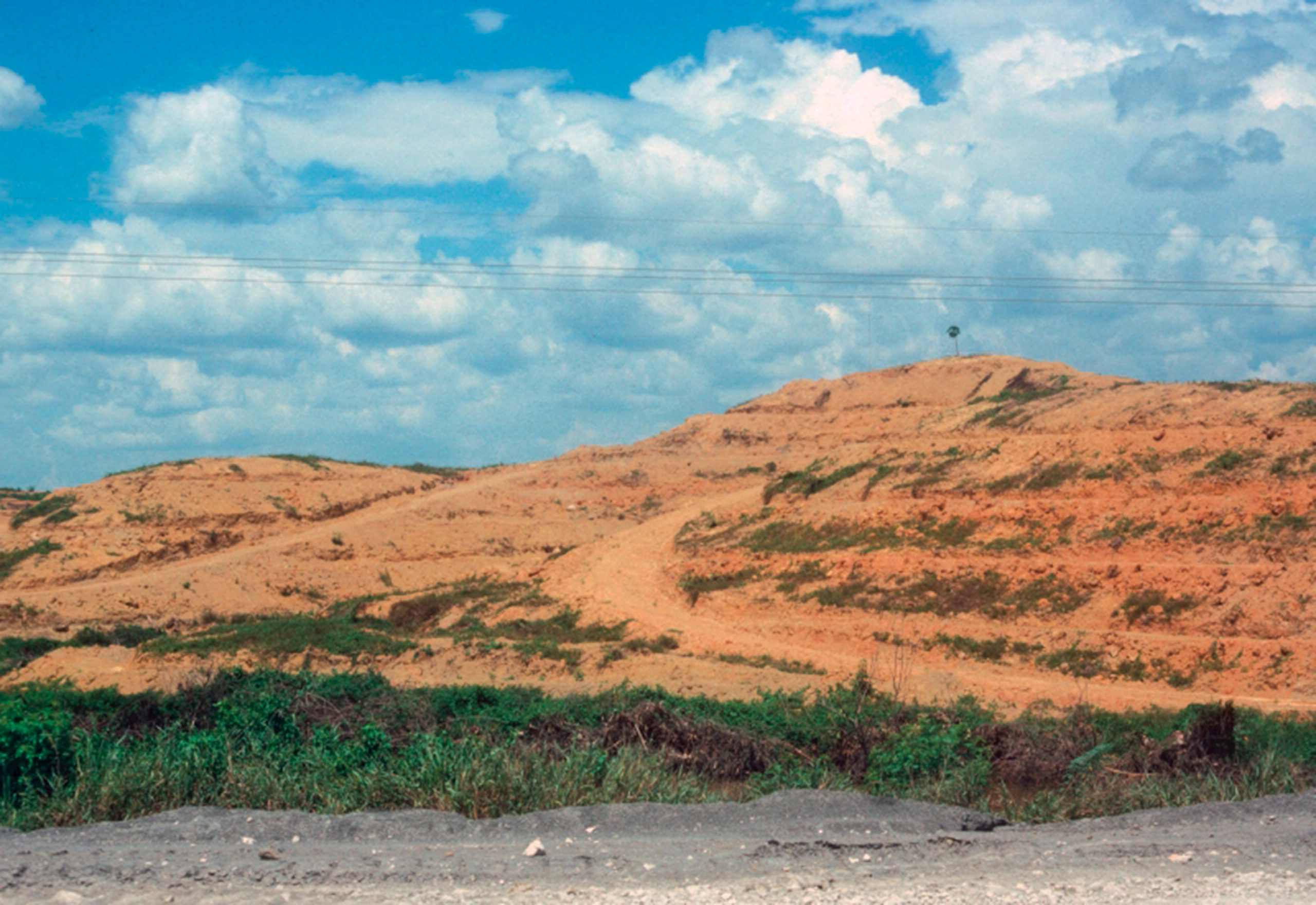 Photograph of cleared tropical landscape.