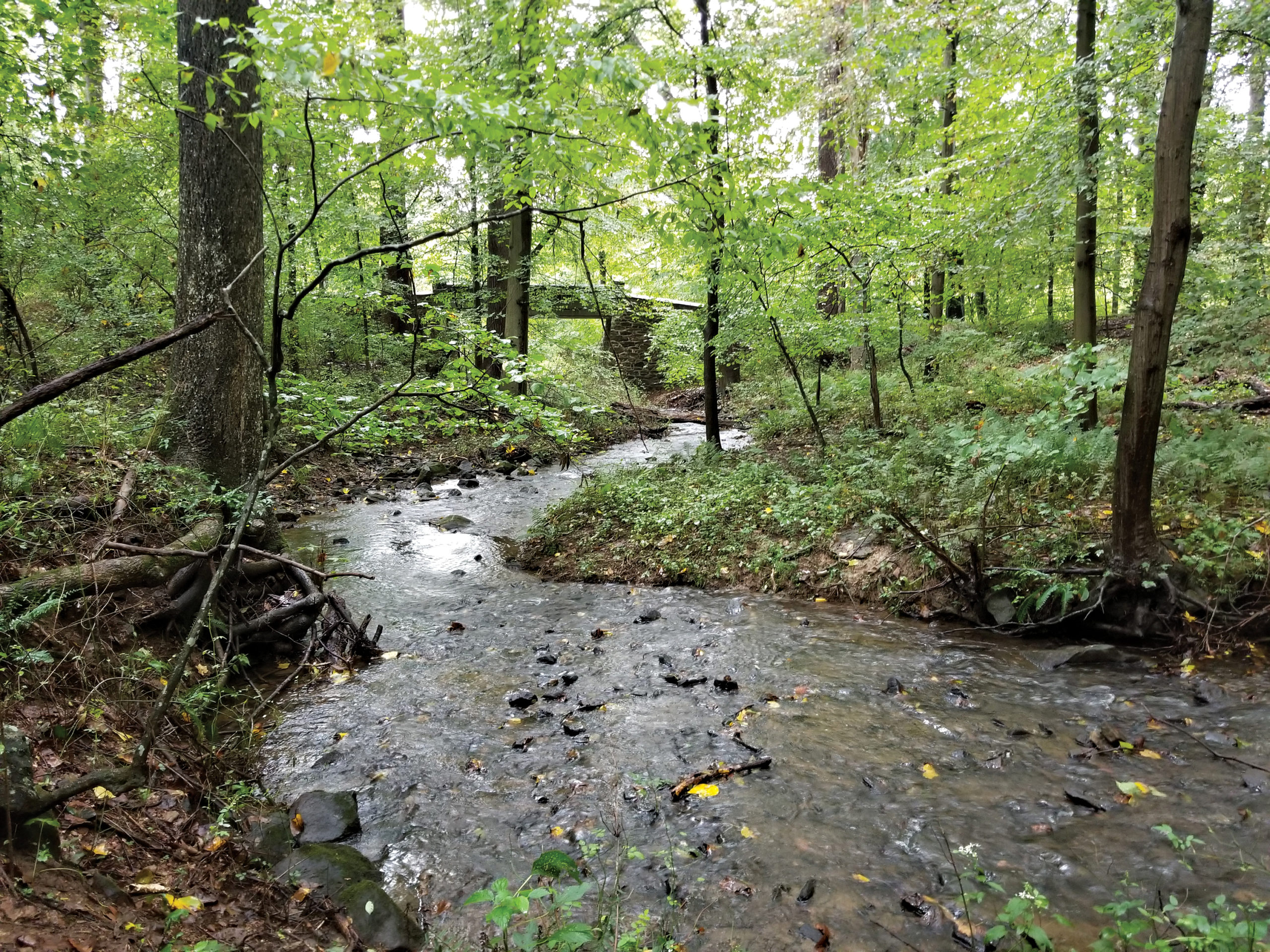 An unnamed creek on the Granogue Estate flows into the Brandywine Creek.
