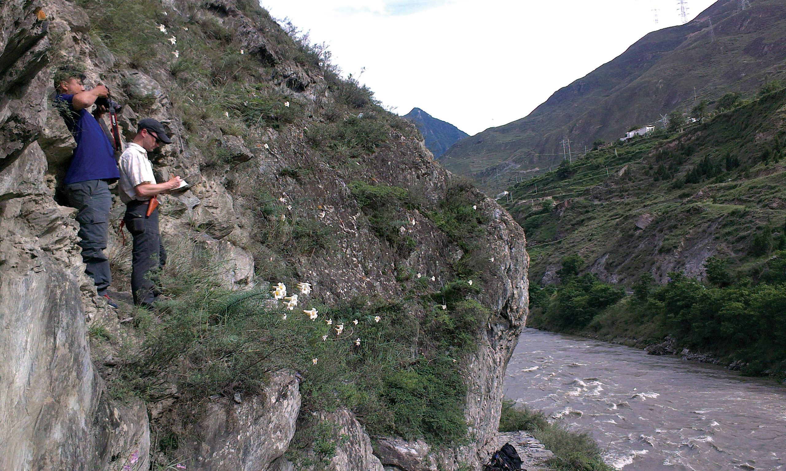 Two men standing on cliff face with lilies
