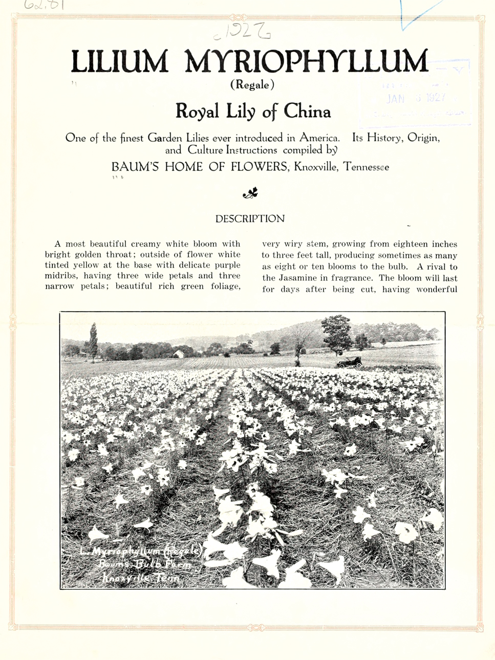 Cover of magazine