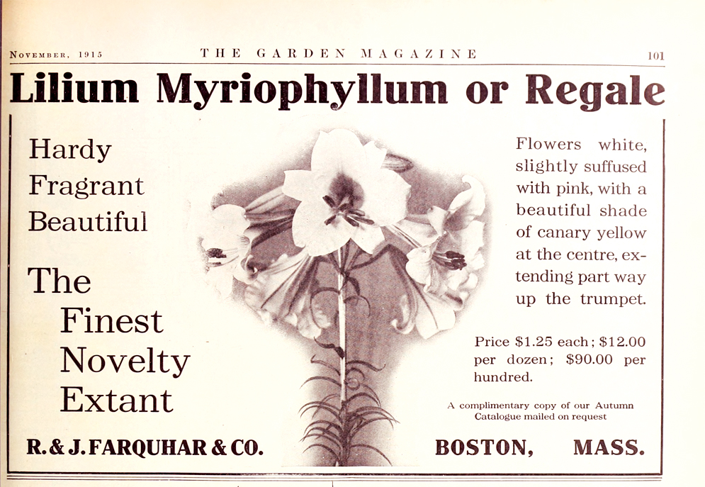 Advertisement from old magazine