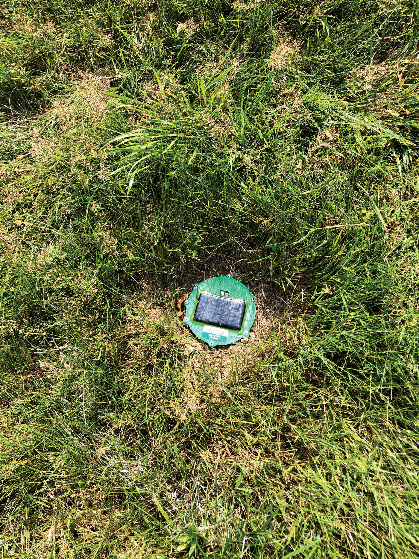 Photo of round sensor stuck into turf