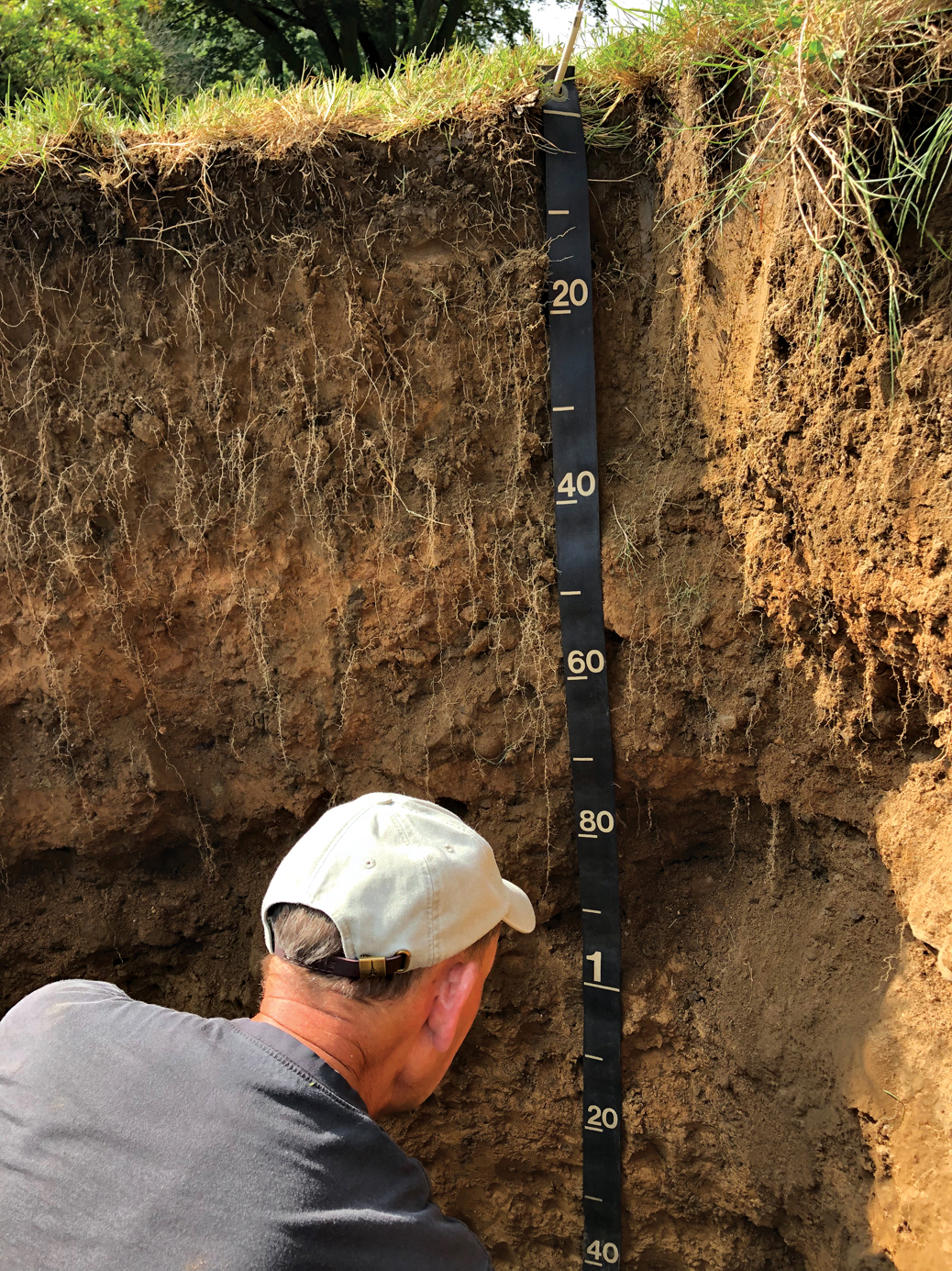 Photo of man measuring layers of soil in a pit