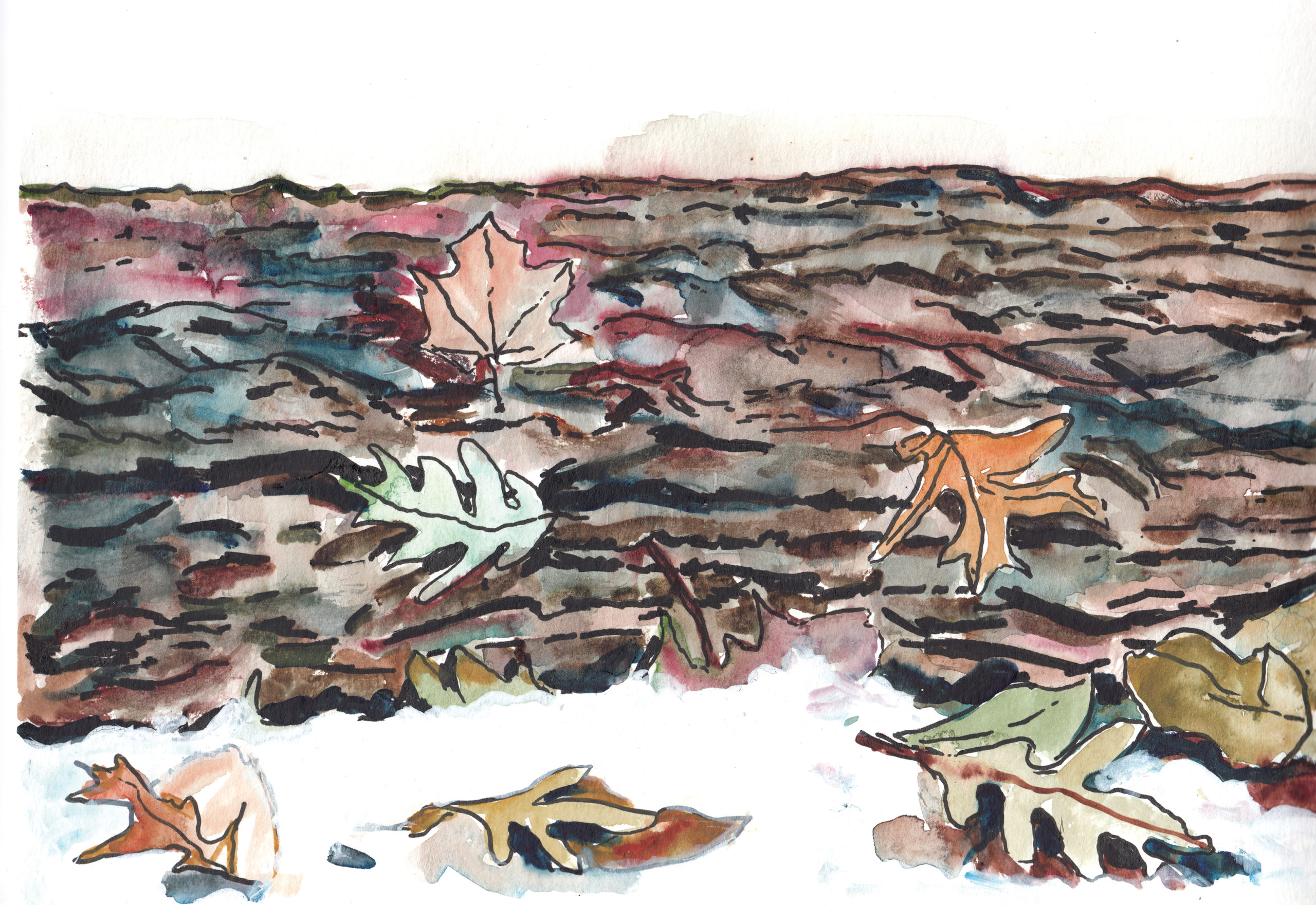 Watercolor of leaves on log